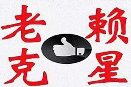 普陀区追数公司